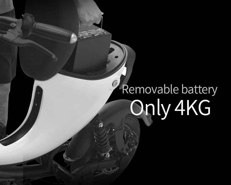 DYU Egret Electric Bike ra mắt