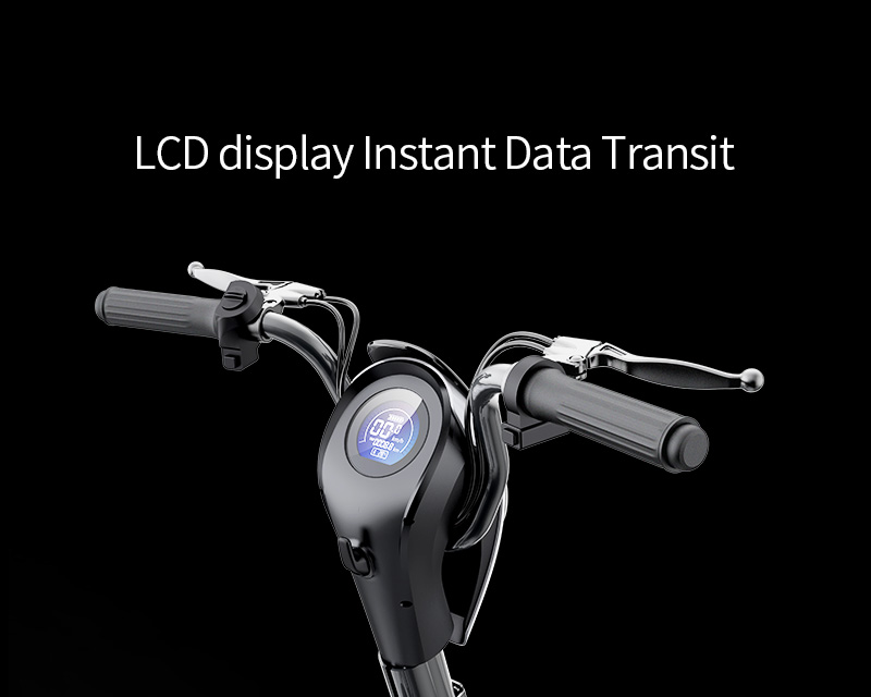 DYU Egret Electric Bike ra mắt