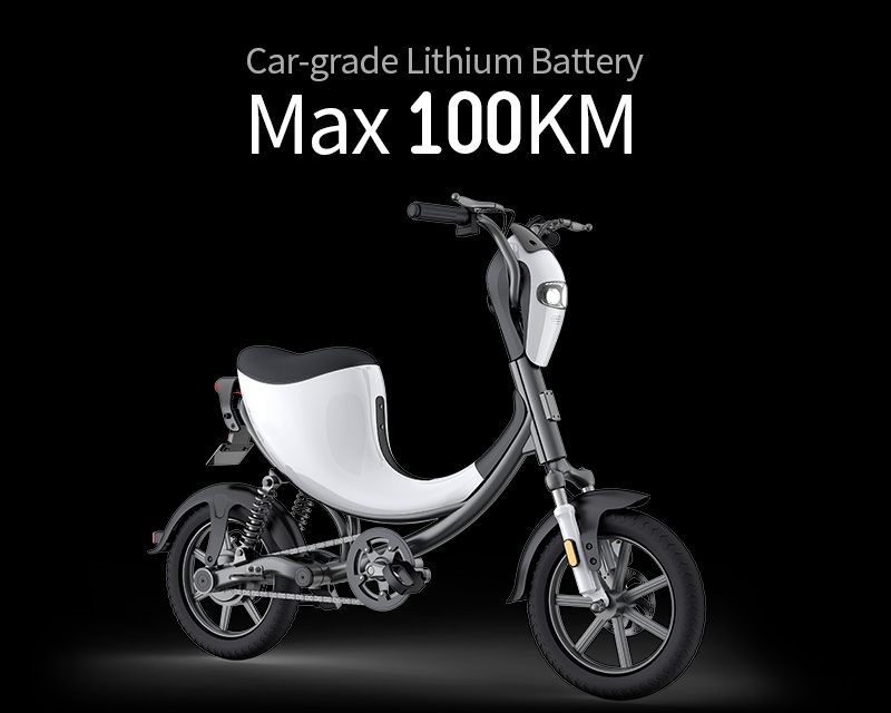 DYU Egret Electric Bike ra mắt