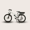 RapidX CRV – Xe đạp trợ lực điện 70 km
