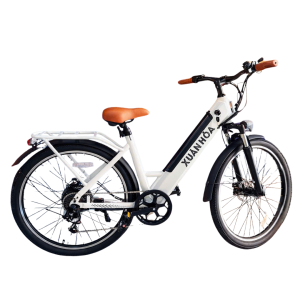 Xe đạp trợ lực điện NETT MS21