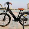 Xe đạp trợ lực điện NETT MS21