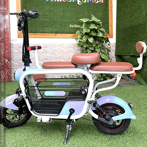 Xe đạp điện Gia đình LIHAZE THELI 3 Chỗ Ngồi, Thiết Kế Thời Trang, Giỏ đựng đồ Lớn đa Tiện ích