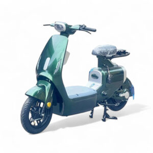 Xe Đạp Điện Lihaze V1 Plus - Cửa Hàng Xe Điện A.ONE