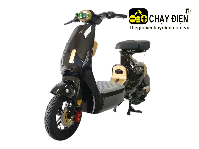 Xe điện Lihaze V1 Plus
